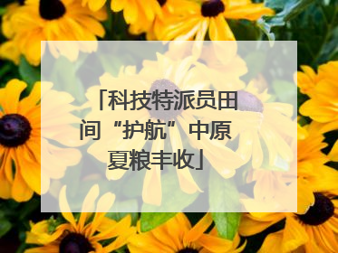 科技特派员田间“护航”中原夏粮丰收