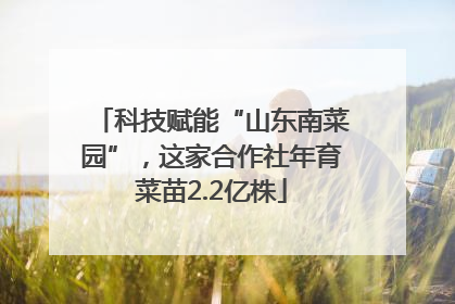 科技赋能“山东南菜园”，这家合作社年育菜苗2.2亿株