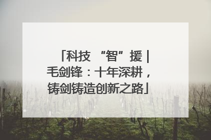 科技 “智”援｜毛剑锋：十年深耕，铸剑铸造创新之路