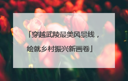 穿越武陵最美风景线，绘就乡村振兴新画卷