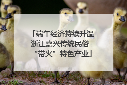 端午经济持续升温 浙江嘉兴传统民俗“带火”特色产业