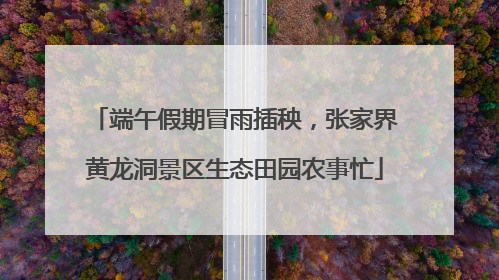 端午假期冒雨插秧，张家界黄龙洞景区生态田园农事忙