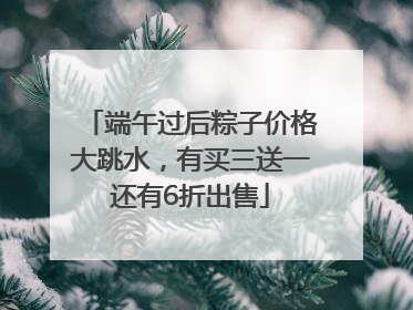 端午过后粽子价格大跳水，有买三送一还有6折出售