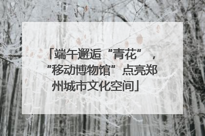 端午邂逅“青花”，“移动博物馆”点亮郑州城市文化空间
