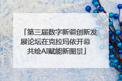 第三届数字新疆创新发展论坛在克拉玛依开幕 共绘AI赋能新图景