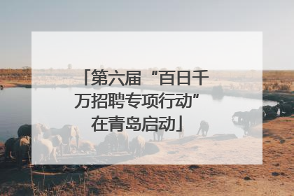 第六届“百日千万招聘专项行动”在青岛启动