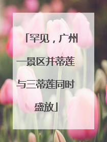 罕见，广州一景区并蒂莲与三蒂莲同时盛放