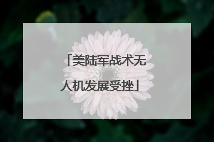 美陆军战术无人机发展受挫