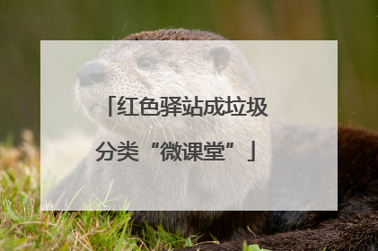 红色驿站成垃圾分类“微课堂”