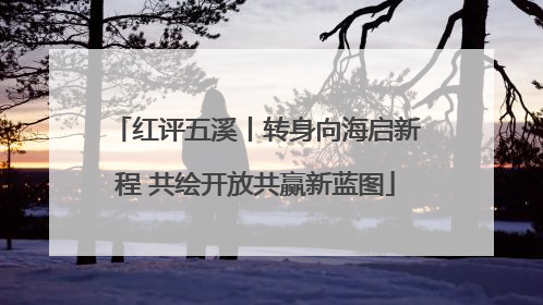 红评五溪丨转身向海启新程 共绘开放共赢新蓝图