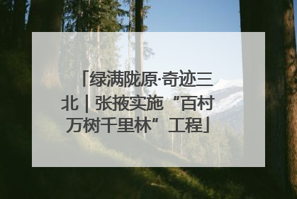 绿满陇原·奇迹三北｜张掖实施“百村万树千里林”工程