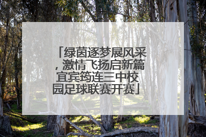 绿茵逐梦展风采，激情飞扬启新篇 宜宾筠连三中校园足球联赛开赛