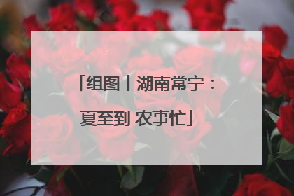组图丨湖南常宁：夏至到 农事忙