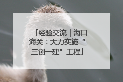 经验交流｜海口海关：大力实施“三创一建”工程