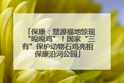 保康：楚源福地惊现“嘎嘎鸡”！国家“三有”保护动物石鸡亮相保康沿河公园