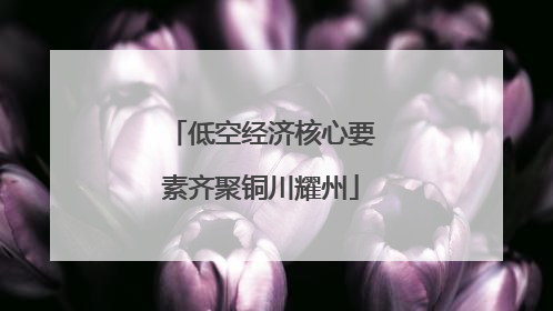 低空经济核心要素齐聚铜川耀州