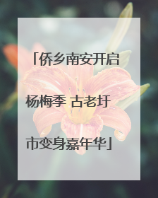 侨乡南安开启杨梅季 古老圩市变身嘉年华