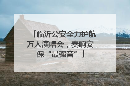 临沂公安全力护航万人演唱会，奏响安保“最强音”