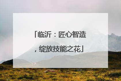 临沂：匠心智造，绽放技能之花
