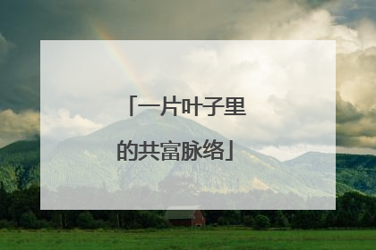 一片叶子里的共富脉络