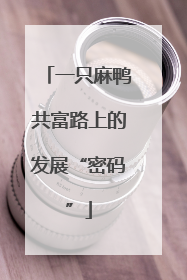 一只麻鸭共富路上的发展“密码”