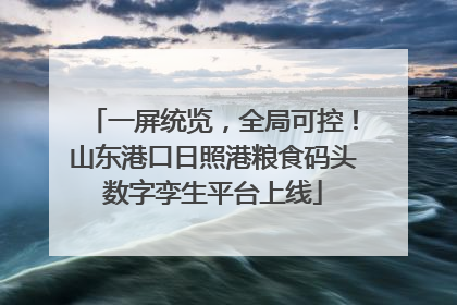 一屏统览，全局可控！山东港口日照港粮食码头数字孪生平台上线
