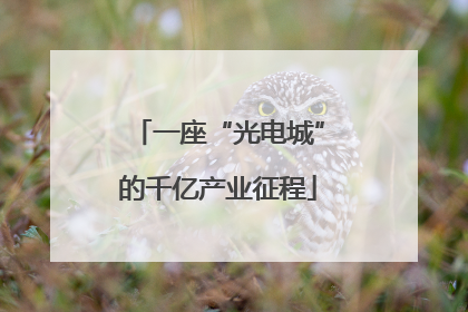 一座“光电城”的千亿产业征程