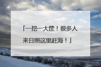 一挖一大筐！很多人来日照这里赶海！