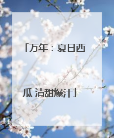 万年：夏日西瓜 清甜爆汁