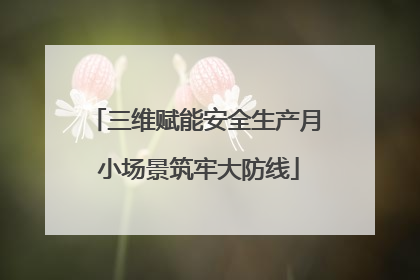 三维赋能安全生产月 小场景筑牢大防线