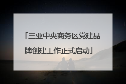 三亚中央商务区党建品牌创建工作正式启动