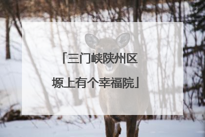 三门峡陕州区 塬上有个幸福院