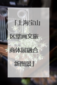 上海宝山区擘画文旅商体展融合新图景