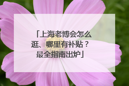 上海老博会怎么逛、哪里有补贴？最全指南出炉