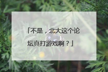 不是，北大这个论坛真打游戏啊？