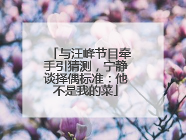 与汪峰节目牵手引猜测，宁静谈择偶标准：他不是我的菜