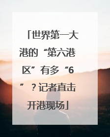 世界第一大港的“第六港区”有多“6”？记者直击开港现场
