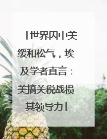 世界因中美缓和松气，埃及学者直言：美搞关税战损其领导力