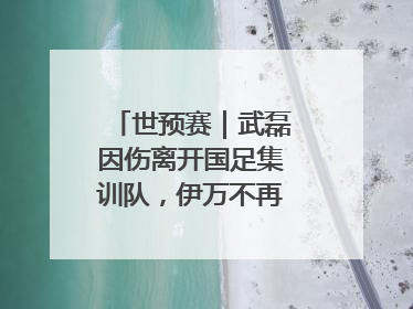 世预赛｜武磊因伤离开国足集训队，伊万不再补招顶替球员