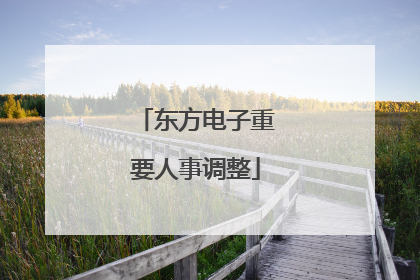 东方电子重要人事调整