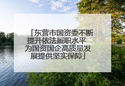 东营市国资委不断提升依法履职水平 为国资国企高质量发展提供坚实保障
