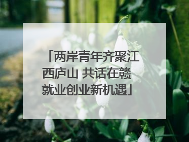 两岸青年齐聚江西庐山 共话在赣就业创业新机遇