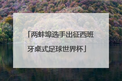 两蚌埠选手出征西班牙桌式足球世界杯