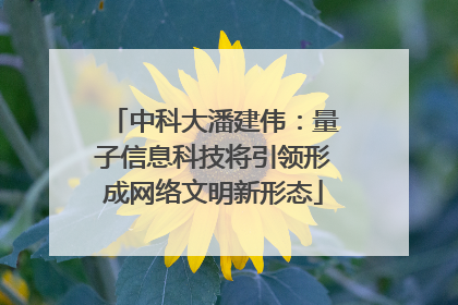 中科大潘建伟：量子信息科技将引领形成网络文明新形态