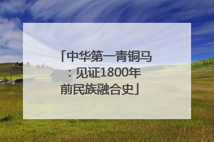 中华第一青铜马：见证1800年前民族融合史