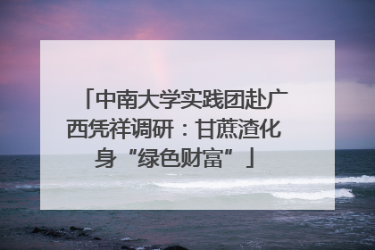 中南大学实践团赴广西凭祥调研：甘蔗渣化身“绿色财富”