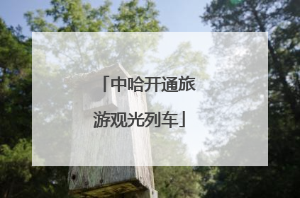 中哈开通旅游观光列车