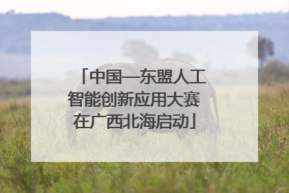 中国—东盟人工智能创新应用大赛在广西北海启动