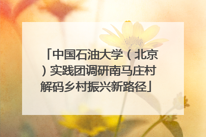 中国石油大学（北京）实践团调研南马庄村解码乡村振兴新路径