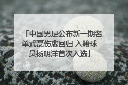 中国男足公布新一期名单武磊伤愈回归 入籍球员杨明洋首次入选
